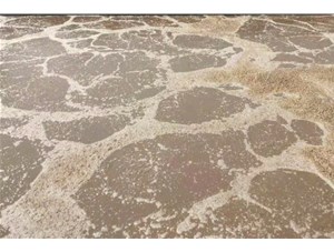 廢水處理中常用的氧化劑和還原劑有哪些？